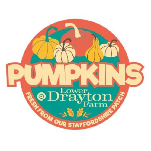 Attraction Logo