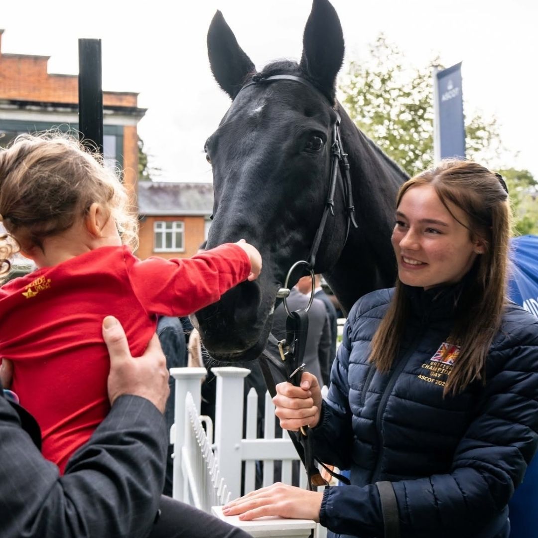 Racehorse experience at British Champions Day