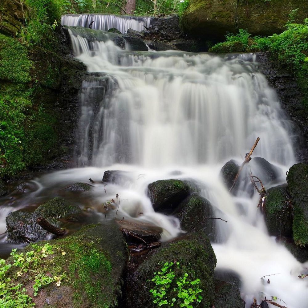 Yorkshire Wildlife Park