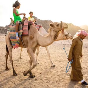 Family camel ride in Egypt