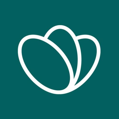 Attraction Logo