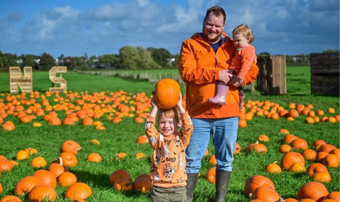 Top Pumpkin Patches Across the UK: Best Pumpkin Picking Days Out for Families