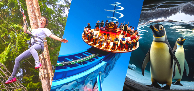 Best ideas for family days out