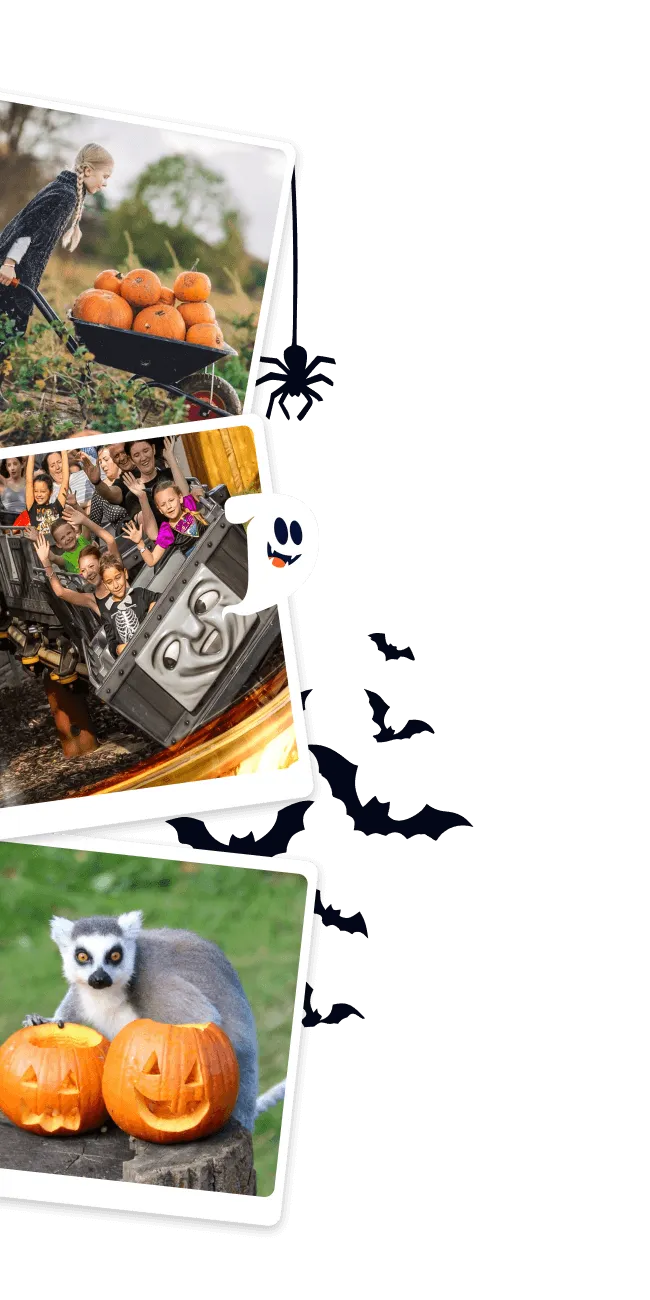 Hero banner containing imagery for family days out