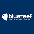Blue Reef Aquarium Portsmouth