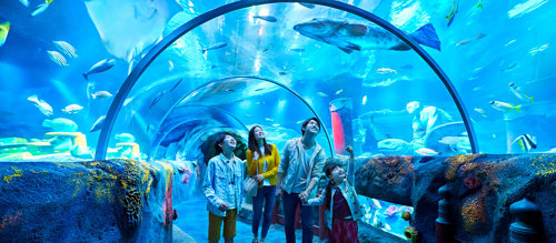 SEA LIFE Centre